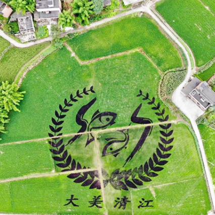 时光穿梭：揭秘光荣3A怀旧游戏新篇章