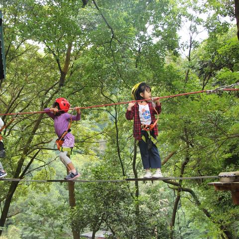 畅玩精选：热门闯关游戏盘点，解锁无限乐趣新体验