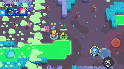 双排地形巧用攻略，荒野乱斗吃鸡新境界