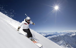 滑雪巅峰之作：盘点十大热门滑雪游戏，人气飙升新标杆