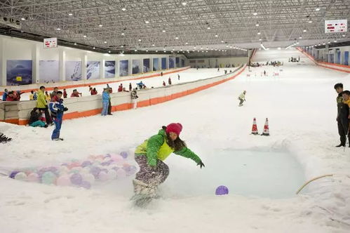 2024年度热门雪游戏盘点：揭秘冰雪世界新潮流