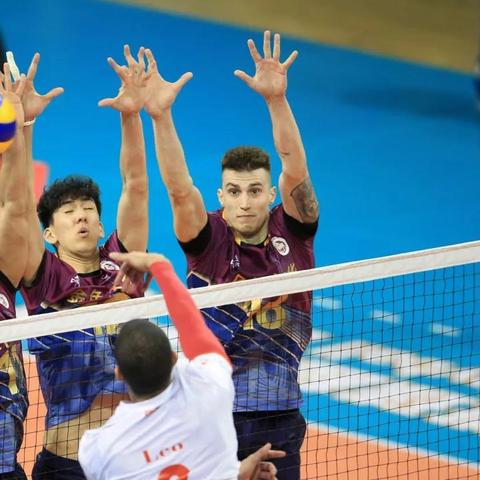 回合战略游戏巅峰对决：揭秘热门排行，趣味无限！