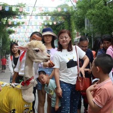 畅玩热门反应游戏，揭秘最佳互动体验新标杆