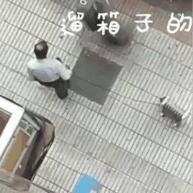 黑色幽默游戏盘点：精选好玩的趣味之作推荐