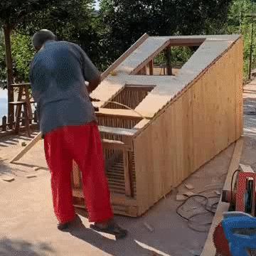 梦幻花园快速攒金币新攻略：新手必看高效技巧解析