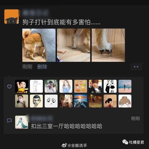 最新网络梗游戏盘点：揭秘十大热门潮流榜单