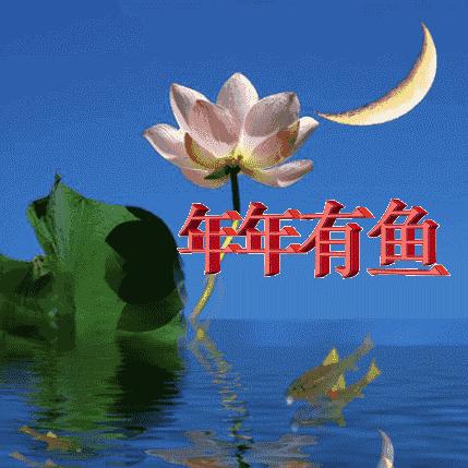 植物大战僵尸2天空无尽攻略：高效通关秘籍大揭秘