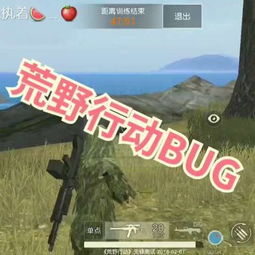 荒野困境破解，Switch 2移植热议，游戏新篇章即将开启