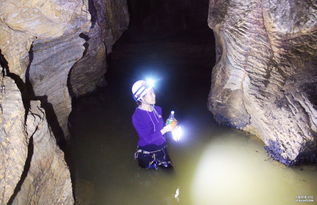 洞穴探险大揭秘：限时免费领Caveman World！