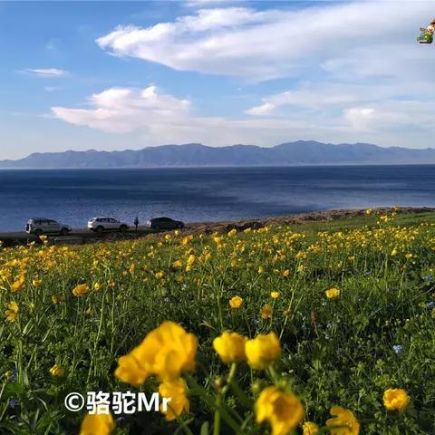 湛蓝染料高效制作攻略，掌握山海妄想新技能