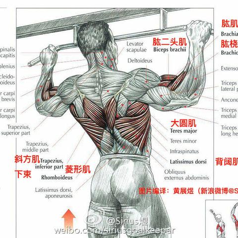 盘点热门动作游戏，揭秘最佳游戏体验秘籍