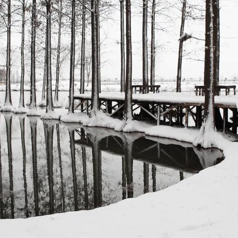 热门迷宫游戏盘点：揭秘人气排行榜前十佳作