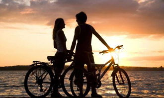 精选十大自行车游戏，下载必玩骑行盛宴