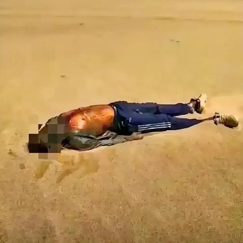 五行师马元帅卡组攻略：揭秘全新战术价值解析