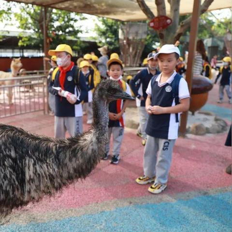 十大热门生物收集游戏盘点：探索自然奥秘之旅