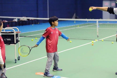 十大必玩网球精选：揭秘下载热门排行