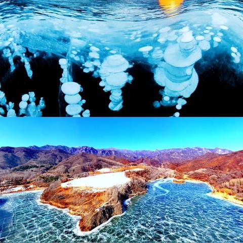 热门下载：盘点高人气雪游戏，畅玩冬日冰雪盛宴