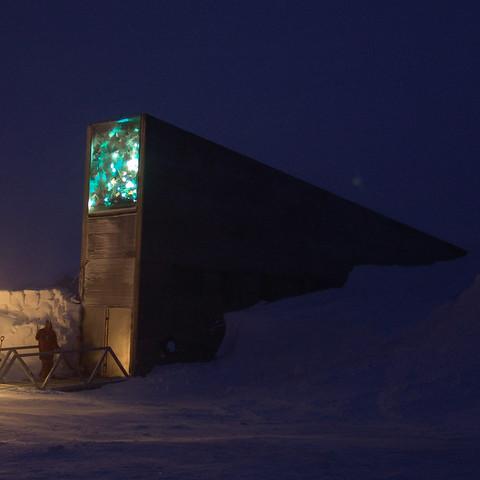 盘点末日游戏人气王：揭秘全新生存秘境