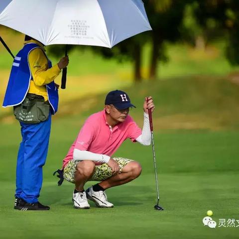 最新高尔夫游戏盘点：热门排行揭示趣味无限