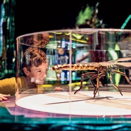 十大精选机甲游戏,揭秘热门好玩的机甲盛宴 十大精选机甲游戏,揭秘热门好玩的机甲盛宴