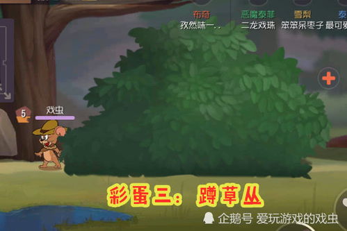 猫鼠大冒险：森林牧场趣味机制深度解析，趣味升级