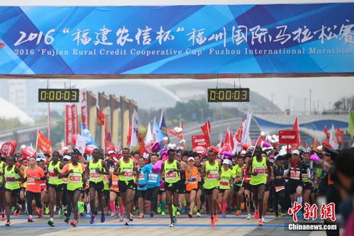 热门马拉松游戏盘点：揭秘趣味排行新风向