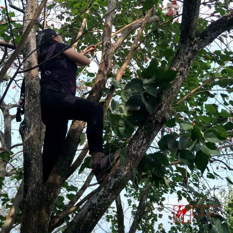 阿瑞斯病毒攻略:长枪卡位高效刷荆棘猪技巧揭秘 阿瑞斯病毒攻略:长枪卡位高效刷荆棘猪技巧揭秘