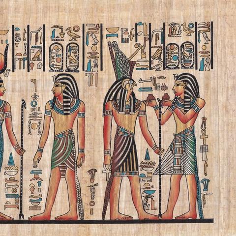 小小五千年：深度解析文物发育奥秘与价值