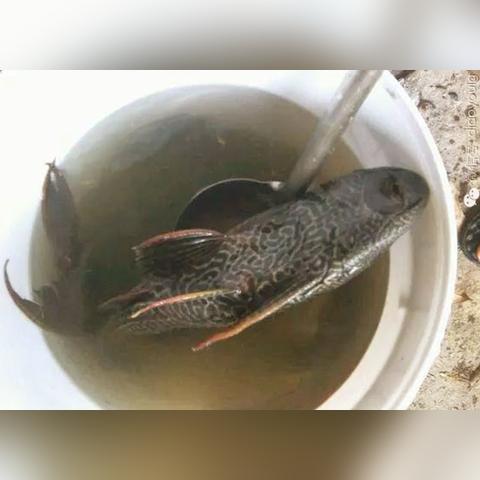 热门快速反应游戏盘点：揭秘十大热门挑战排行榜