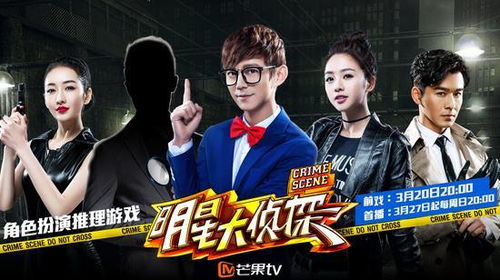 侦探游戏精选大全，揭秘热门悬疑探案之旅